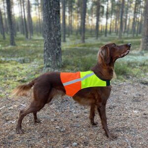 Ruska - Huomioliivi Kelta/oranssi
