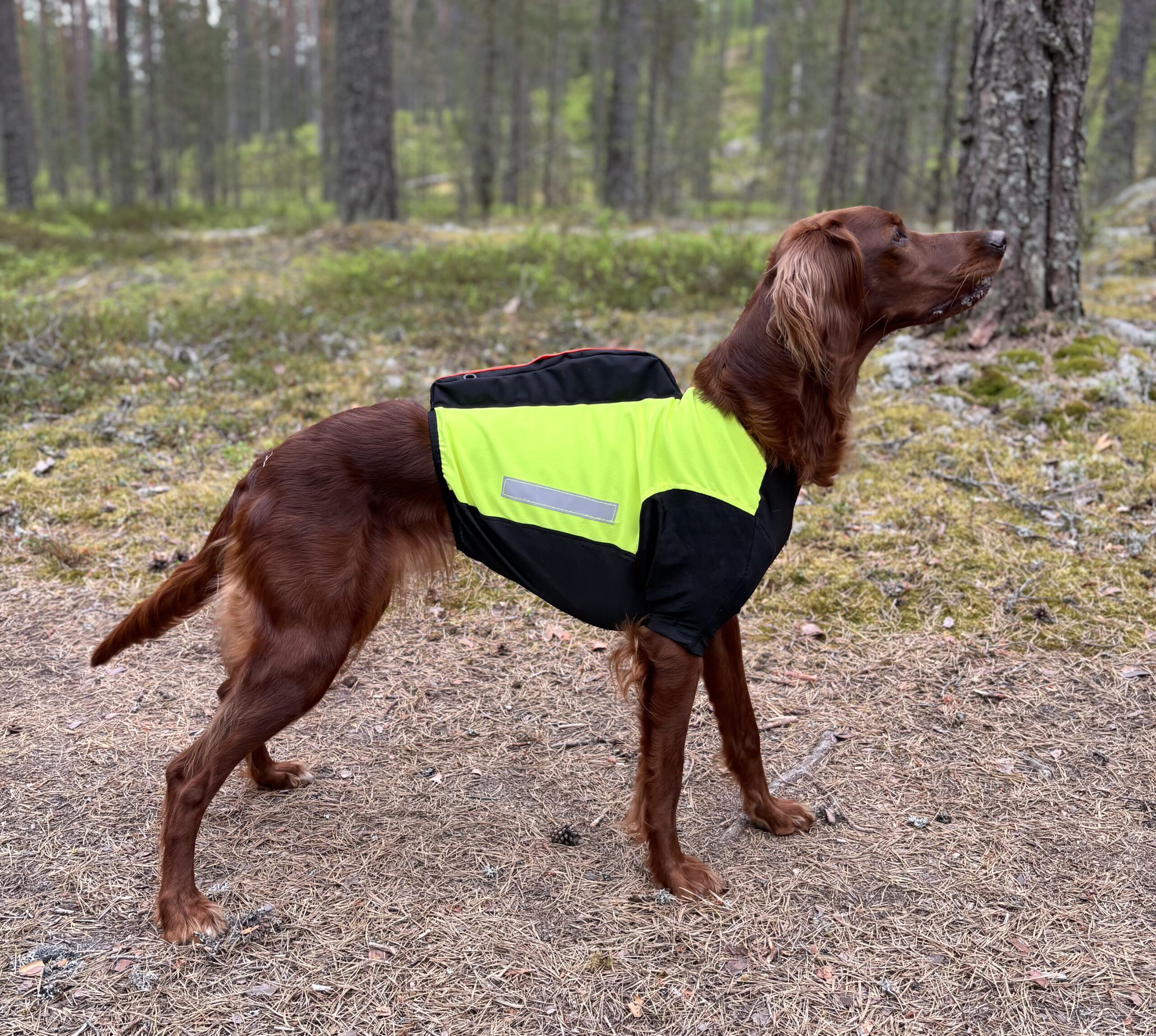 HILLA lahkeellinen viiltosuojaliivi GPS-taskulla - Image 2