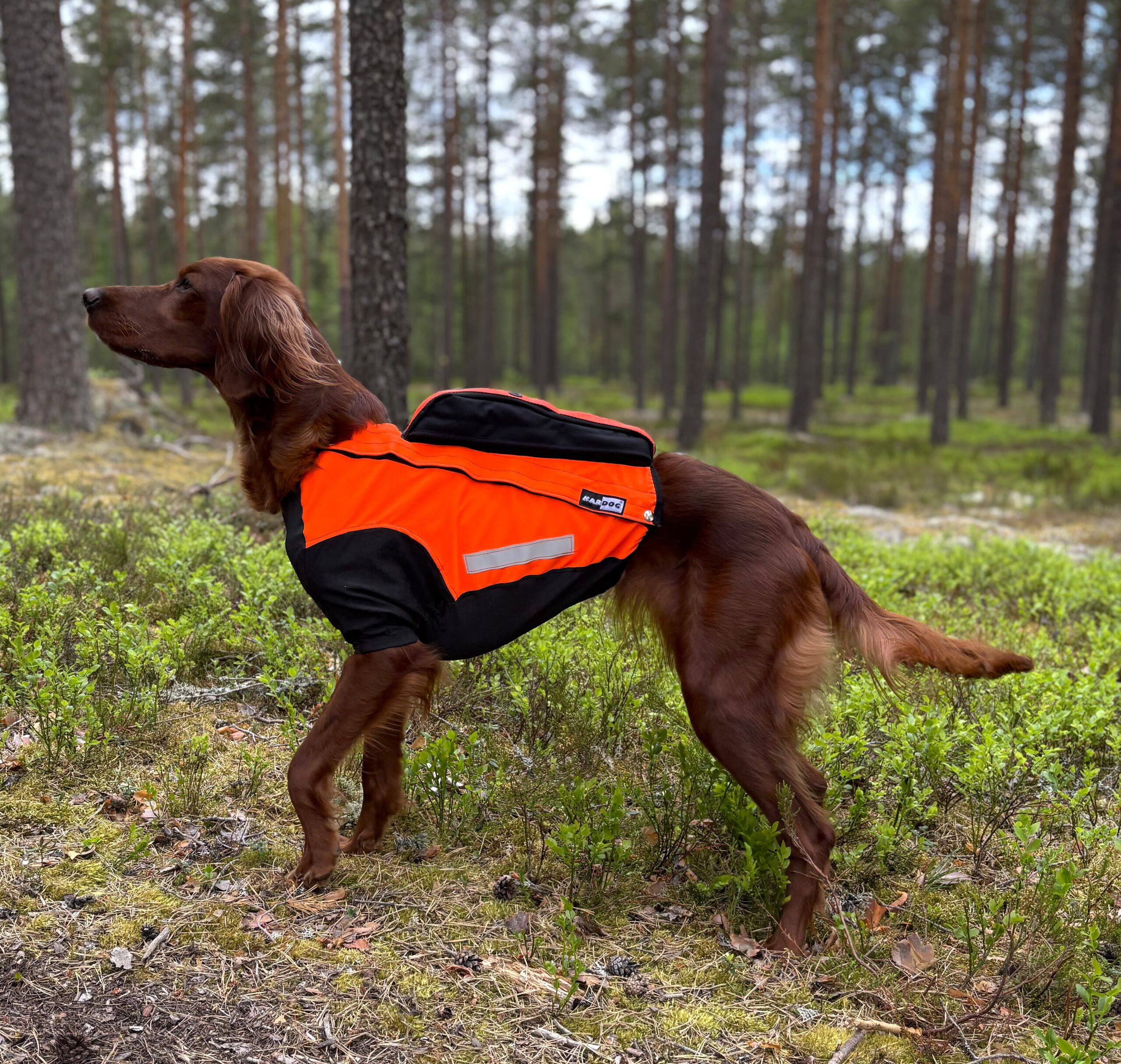 HILLA lahkeellinen viiltosuojaliivi GPS-taskulla