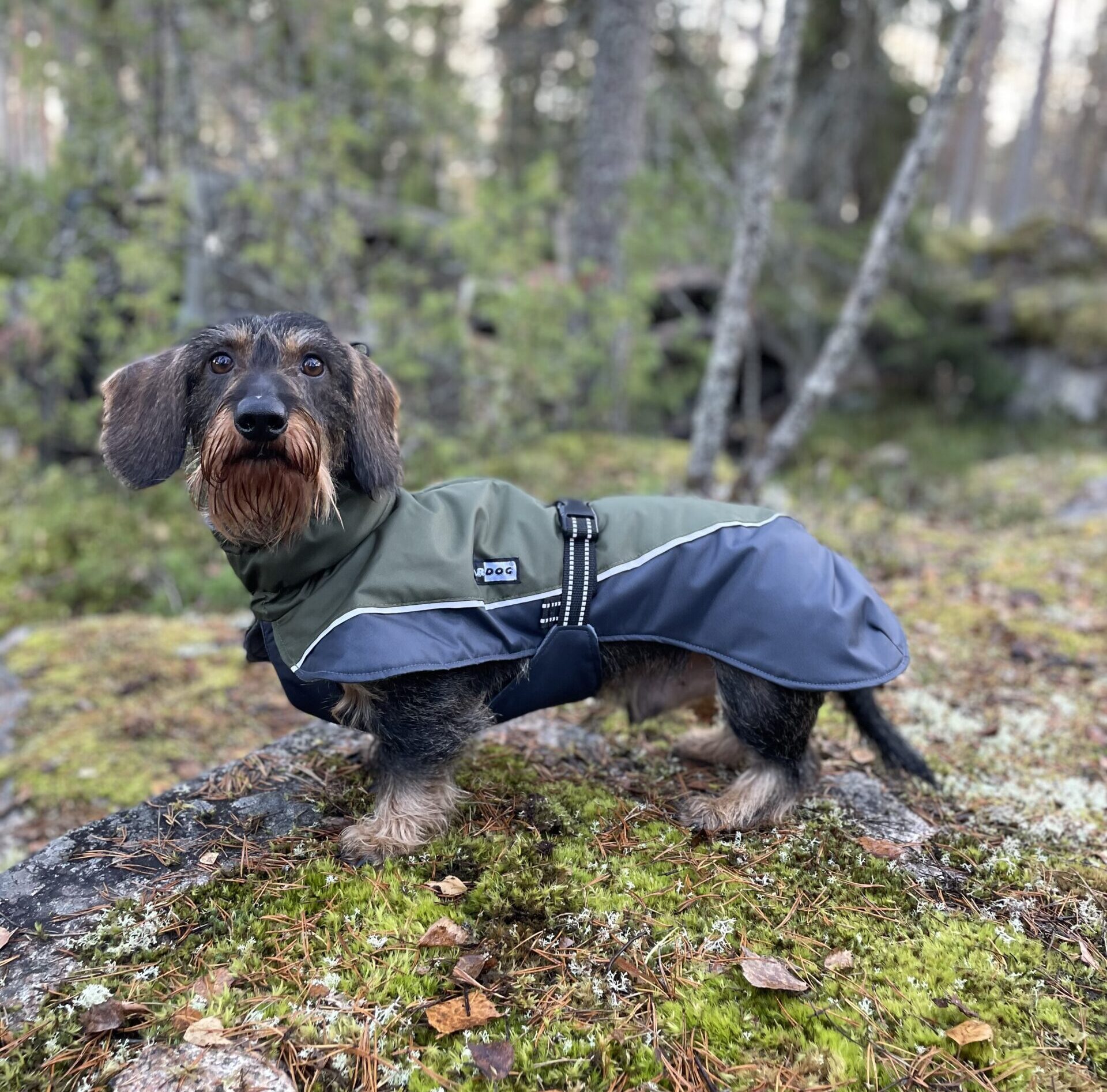 KUURA lämpötakki - Image 2