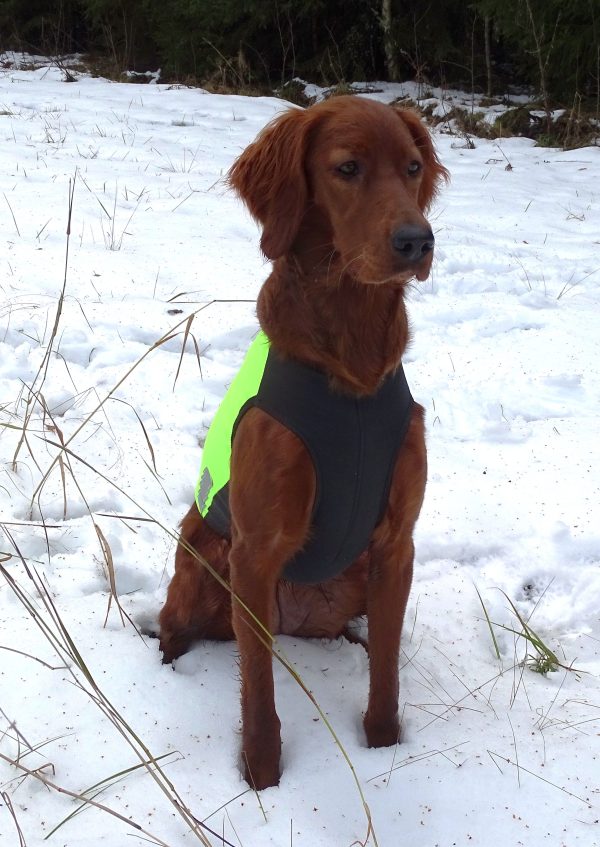 HELMI stretchy cut protection vest NEW - Image 3