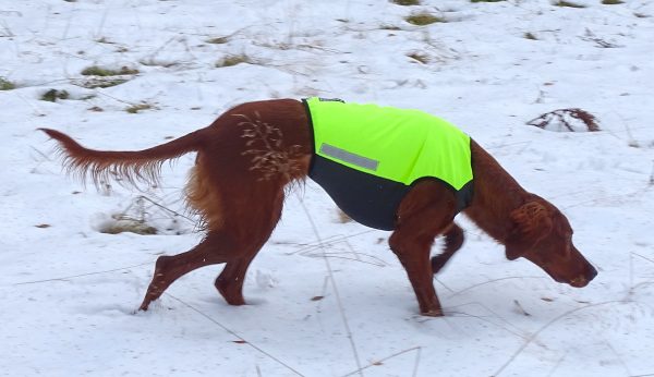 HELMI stretchy cut protection vest NEW - Image 5