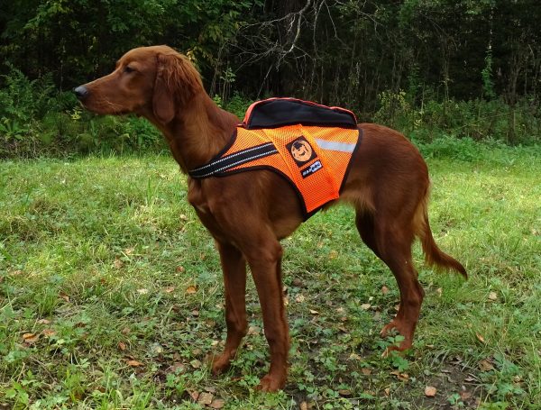 RAIPE mesh GPS-high-visibility vest (NEW)