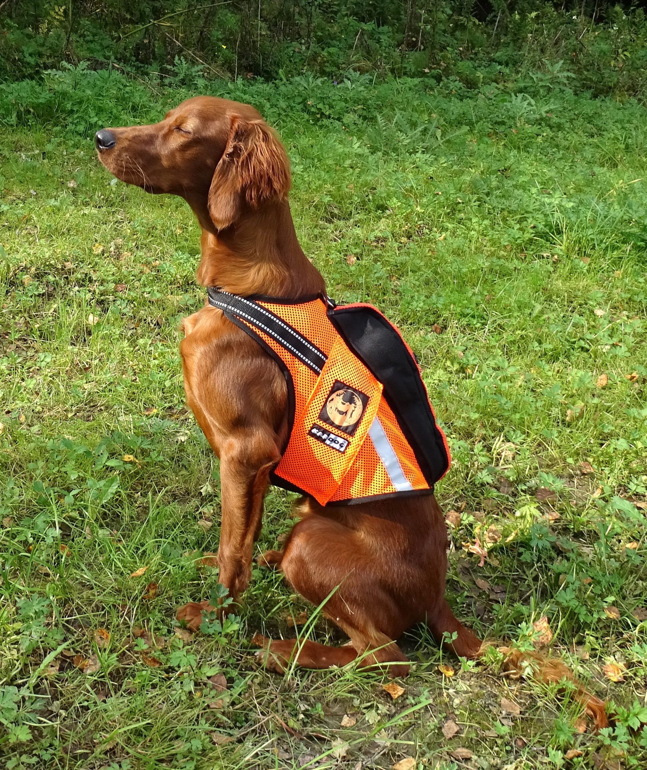 RAIPE mesh GPS-high-visibility vest (NEW) - Image 3