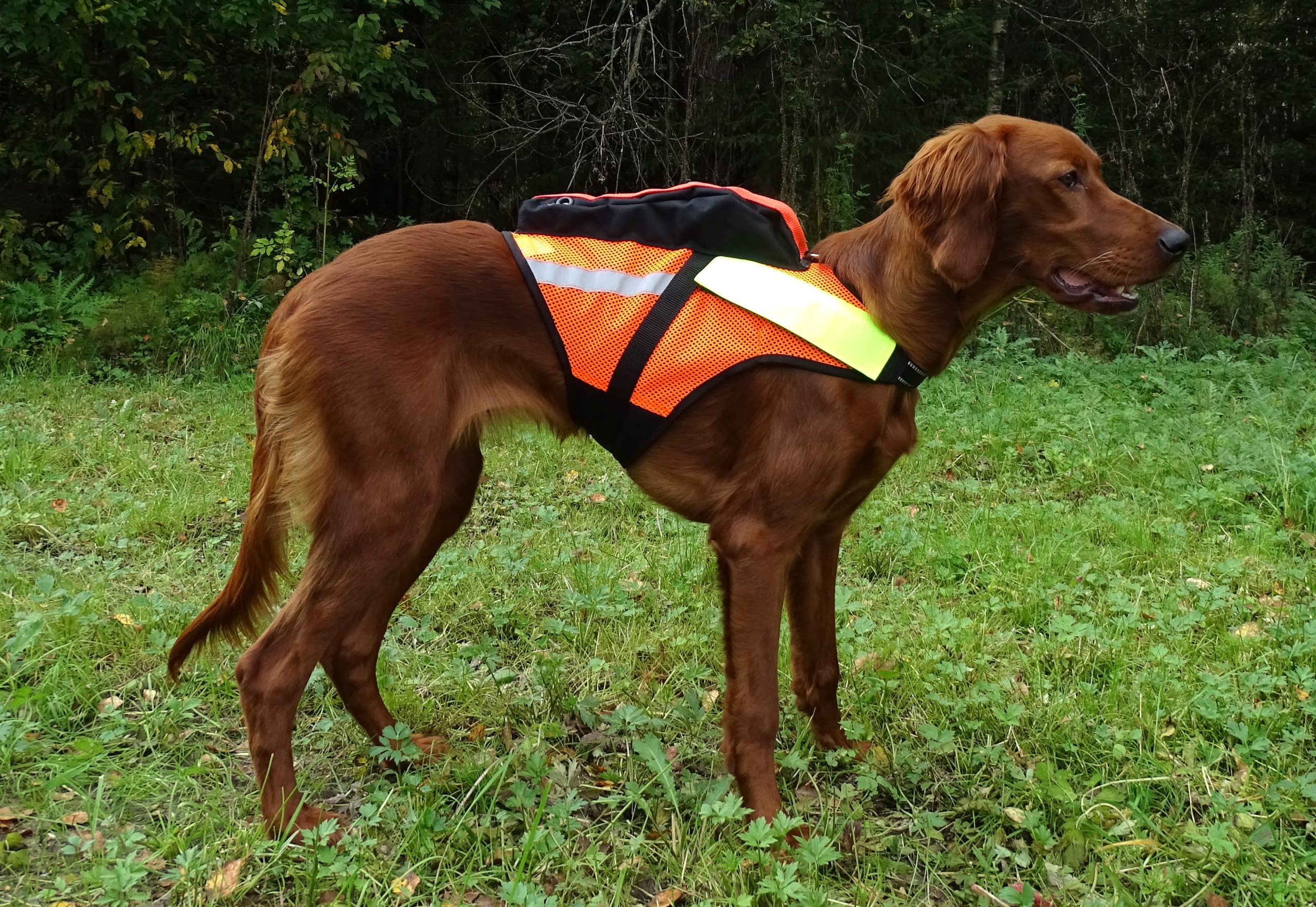 RAIPE mesh GPS-high-visibility vest (NEW) - Image 4